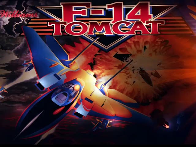 F-14 Tomcat (Williams 1987)